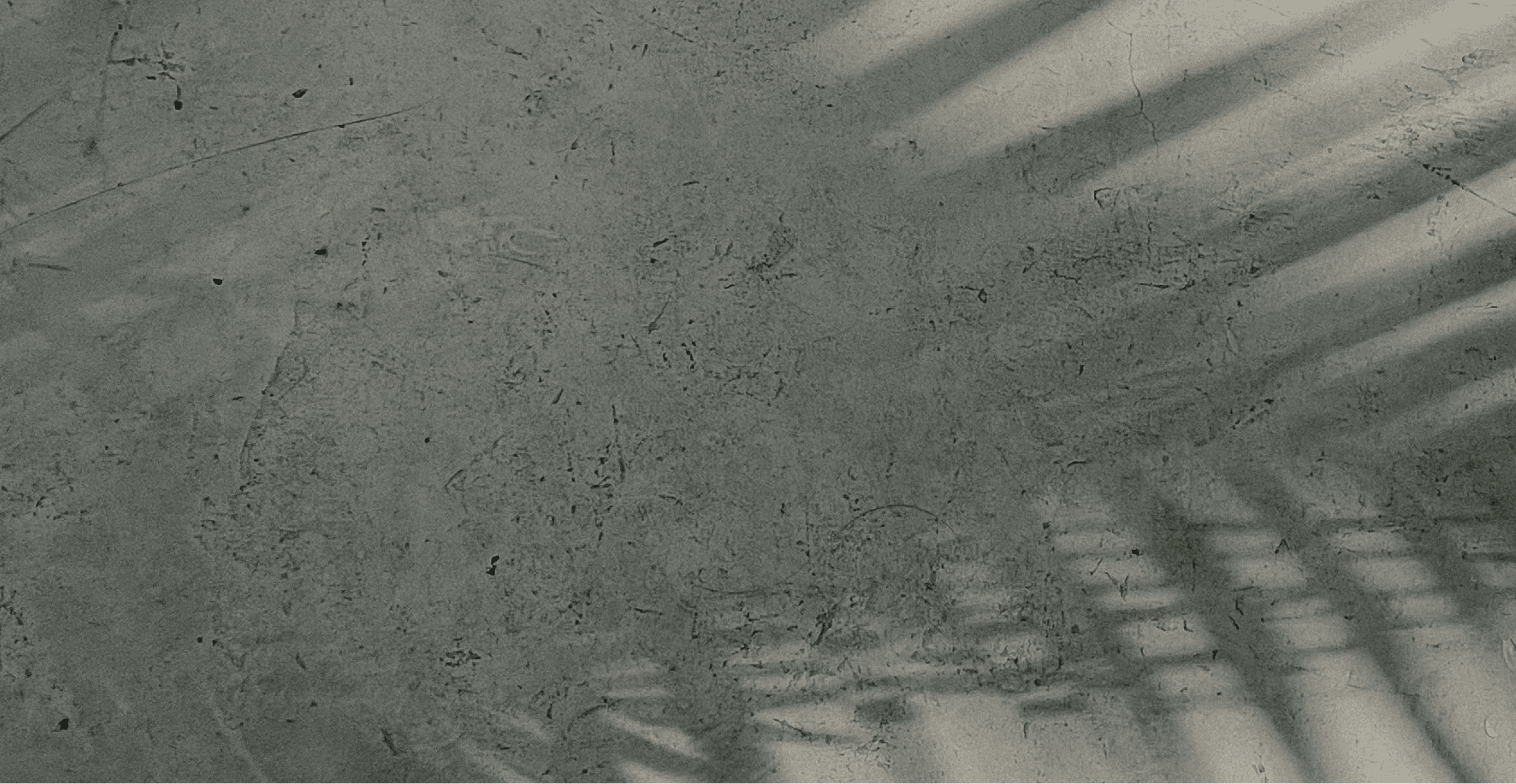 Shadow of a frond on pale green background
